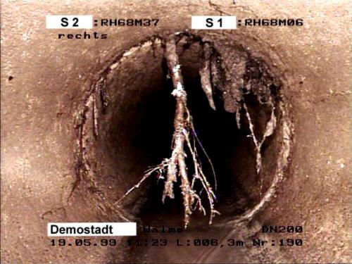 BK Rohrreinigung in Steinburg Galerie aufgespürt 04